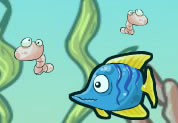 Fish Race Champions